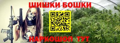 Альфа ПВП Малгобек