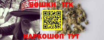 Альфа ПВП Малгобек