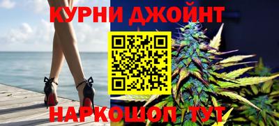 Альфа ПВП Малгобек