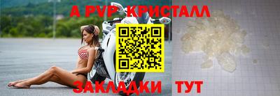 Альфа ПВП Малгобек