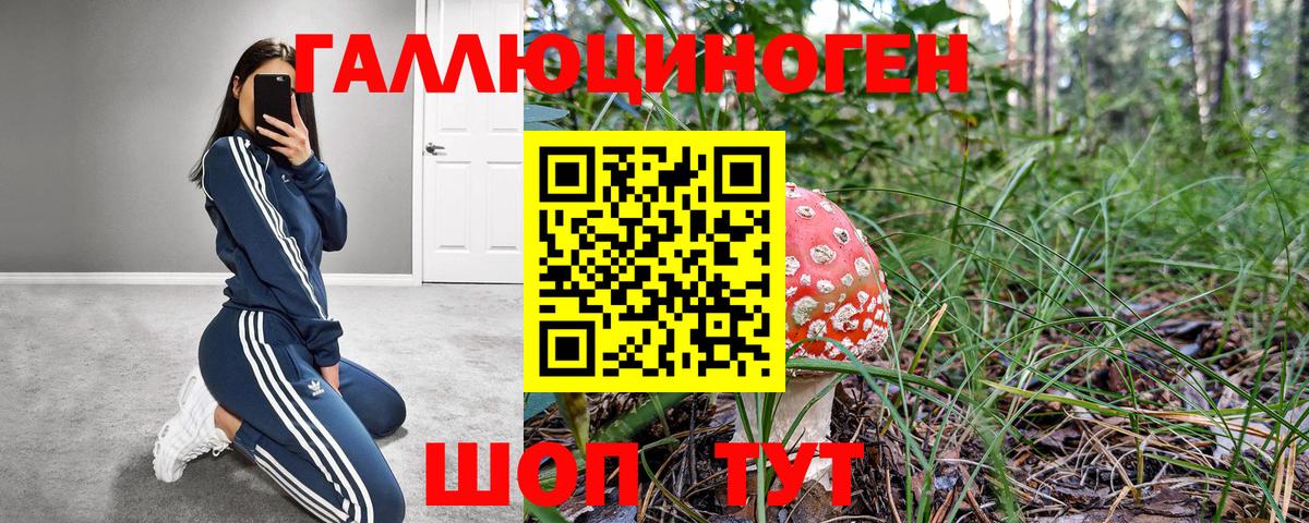 где можно купить   Псилоцибиновые грибы Psilocybine cubensis  Вход с VPN  Шебекино 