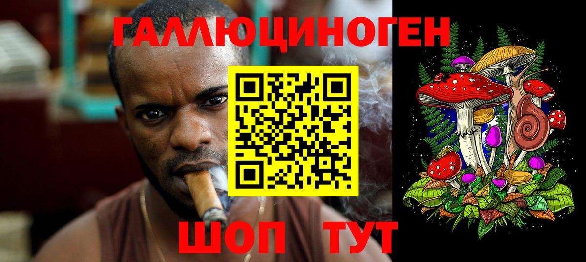 Галлюциногенные грибы Psilocybe Шебекино